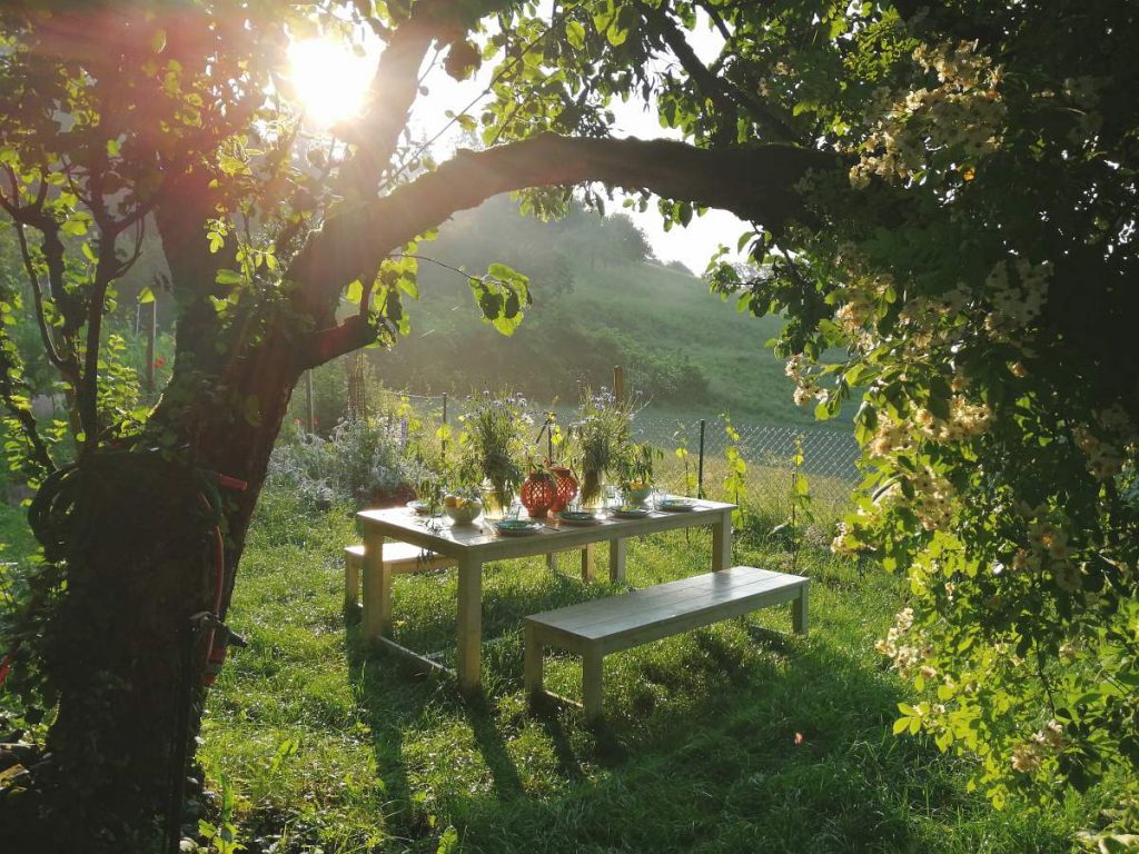 Morgenstimmung mit festlich gedecktem Tisch im Schaugarten von Patrizia Haslinger