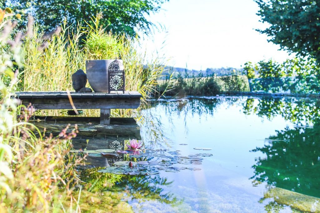 Buddaskulptur am Seerosenteich, Garten Die Herzensgärtnerin