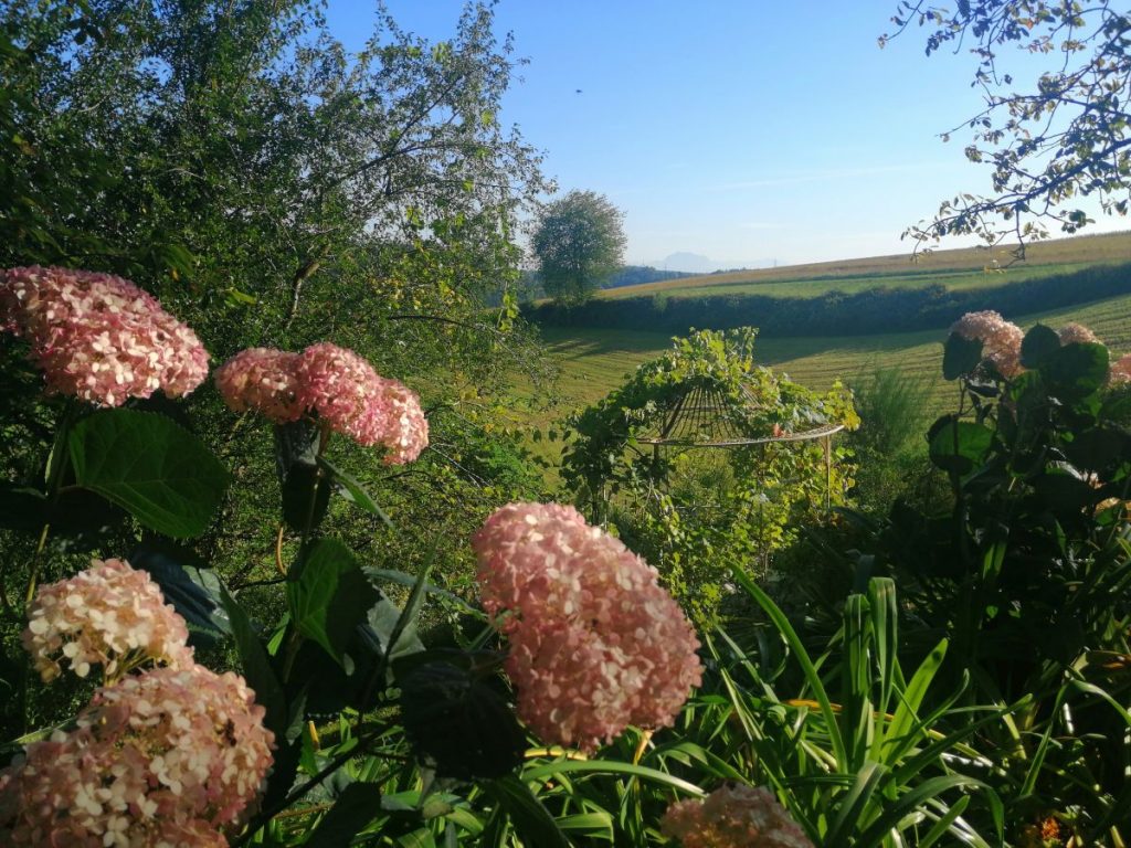 Weitblick im Garten