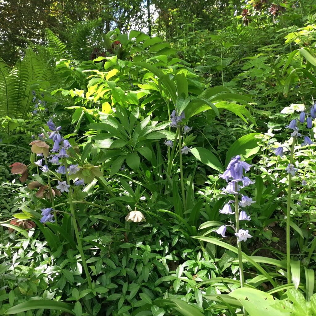 Waldgarten