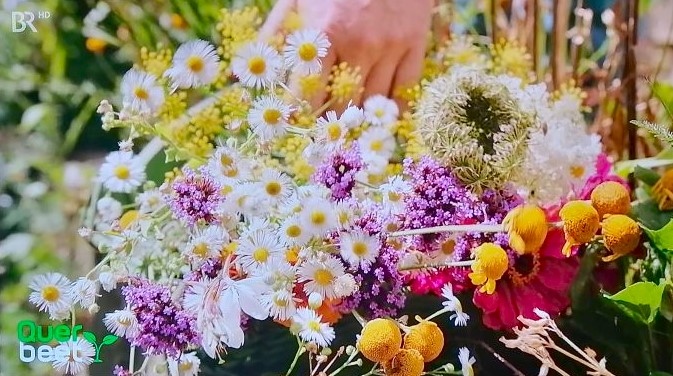 bunte Blumen für eine natürliche Tischdekoration Gartenparty - Patrizia Haslinger - Die Herzensgärtnerin - Blog - Schritt für Schritt Anleitung Sommerfest