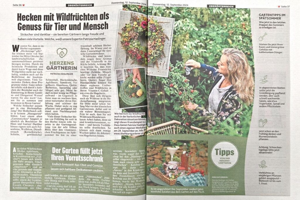 Kronen Zeitung Kolumne mit Patrizia Haslinger | Wildfrüchte Hecken | Wildobst | Blog | Die Herzensgärtnerin | The Heartgardener | Bloggerin | Naturgartengestaltung | Workshops | Naturgartengestalterin | Gartenführungen | Schaugarten | Herbstkranz | Workshops