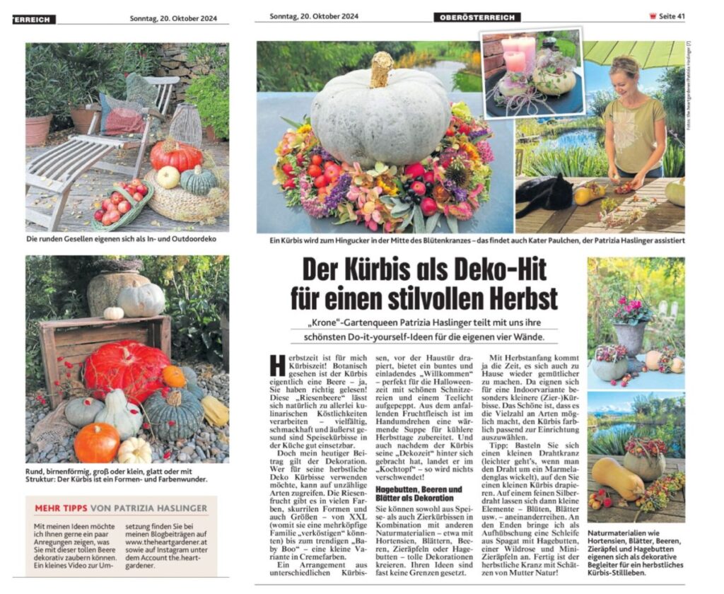 Kolumne in Kronen Zeitung Patrizia Haslinger | Die Herzensgärtnerin | The Heartgardener | Kürbisdeko | Gartenblog | Deko- und Gartentipps | Bloggerin | Naturgartengestaltung | Gartendesign | Gartengestaltung