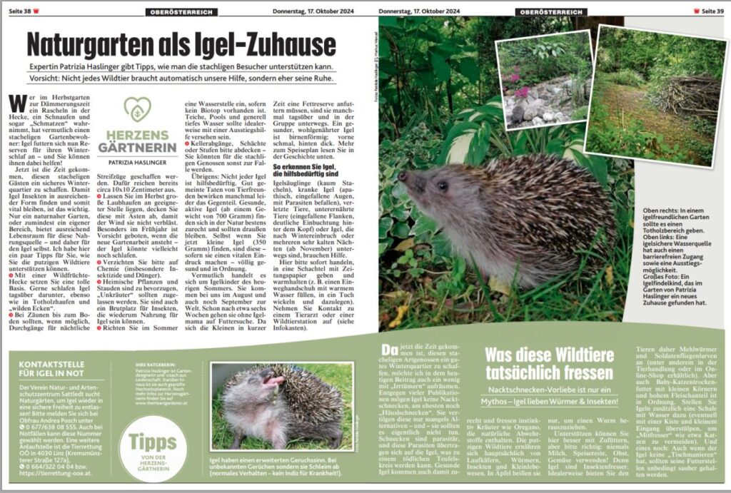 Kolumne in Kronen Zeitung Beitrag von Patrizia Haslinger Die Herzensgärtnerin über IGEL 17.10.2024