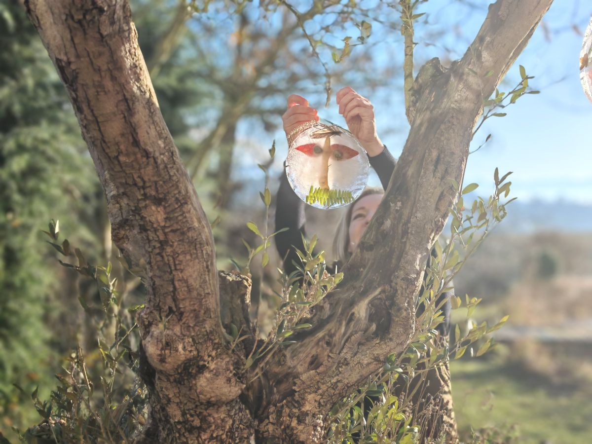 Olivenbaum im winterlichen Garten mit Eismandala - Blog von Patrizia Haslinger - Die Herzensgärtnerin - The Heartgardener - Gartentipps