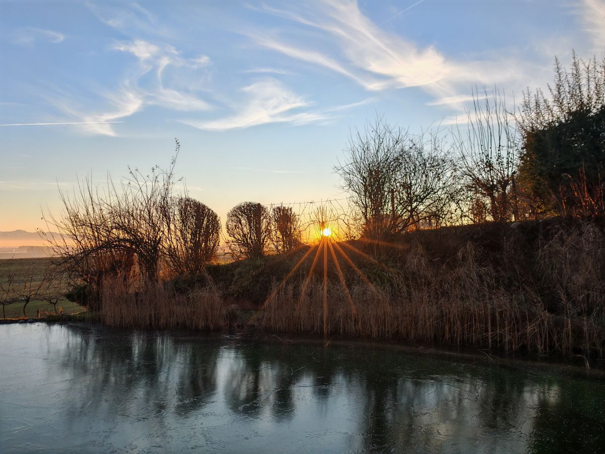 Abendstimmung im winterlichen Garten | Naturteich | Sonnenuntergang | Gartentipps und Blog von Patrizia Haslinger | Die Herzensgärtnerin | TV Garten | Schaugarten