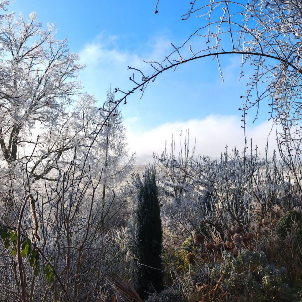 Winterlicher Garten