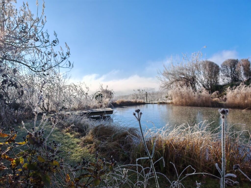 Struktur im winterlichen Garten | Gartenblog von Patrizia Haslinger Die Herzensgärtnerin | Naturgartengestalterin | Wintergarten | Naturteich im Winter