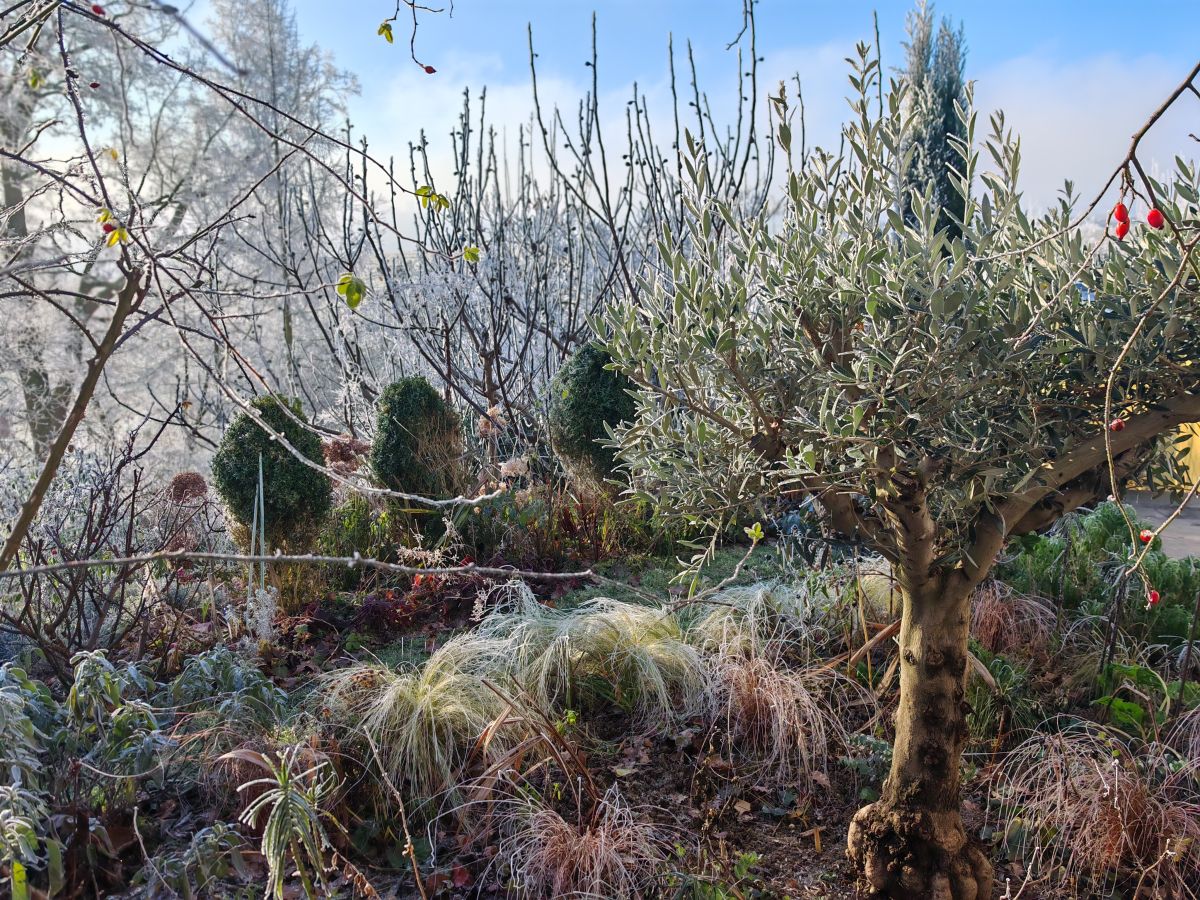 Herbstimpressionen Haslinger